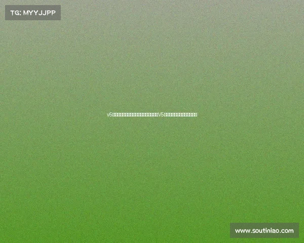 v5电子竞技俱乐部队标、《骑士之心：揭秘V5队标背后的团结与胜利哲学》